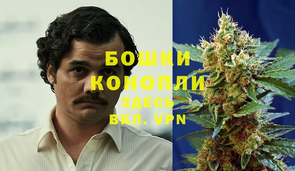 ГАЛЛЮЦИНОГЕННЫЕ ГРИБЫ Ивангород