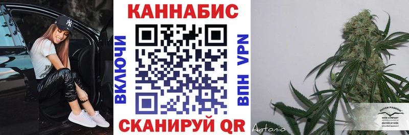 Конопля OG Kush  даркнет сайт  Карабаш 
