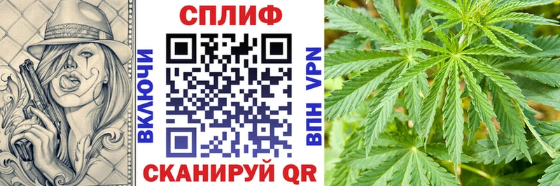 Шишки марихуана планчик Карабаш